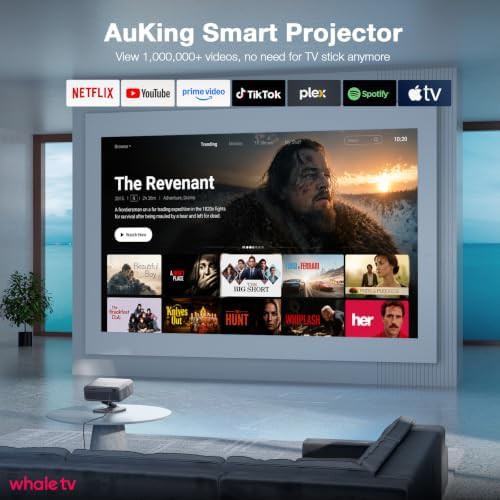 Netflix licensed grey projector with TOF focus — photo 3