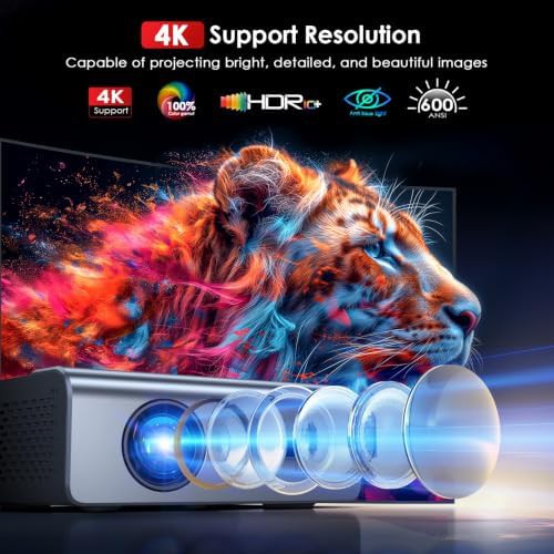 Outdoor movie projector with auto keystone — photo 5